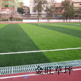 广州人造草坪 50mm 进口足球场草坪 地毯 人工 专业运动包含施工