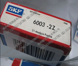 原装正品瑞典SKF进口轴承 SKF 163110-2RS1 尺寸16*31*10MM