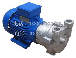 专业生产不锈钢2BV2061水环真空泵、SKA2061水环式真空泵