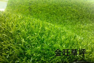 广州人造草坪幼儿园草坪人工假草皮阳台地毯花园加密草坪20mm包邮