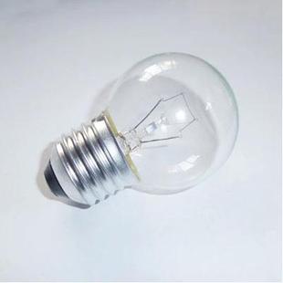 本店赠送光源 一灯赠送一个 多拍无效 螺口E27 40W 普通灯泡