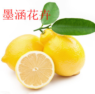 果树苗香水柠檬盆栽/柠檬树苗 美国柠檬 台湾香水柠檬 当年结果苗