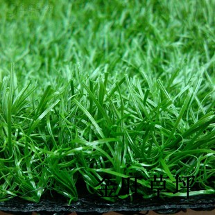 金旺人造草坪 25mm  人工草坪 假 仿真 庭院 花园 草坪地毯 景观