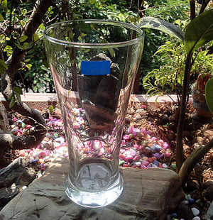 原装进口泰国Ocean海洋玻璃啤酒杯 饮料杯啤酒杯牛奶杯 水杯 正品