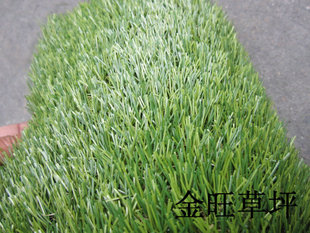 金旺人造草坪 35mm 四色草坪 人工草坪 草坪地毯 假草 仿真草坪