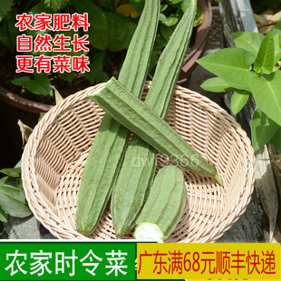 农家新鲜蔬菜 当日采摘土丝瓜 八角丝瓜 菜有菜味自然生长500克