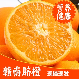 赣南脐橙现摘现卖水果新鲜甜橙原产地发货自家果园10斤精品果包邮