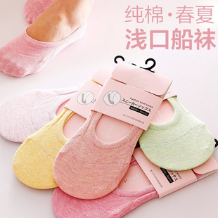 2015夏季新品 甜美风格全棉袜子 纯色女士隐形袜 硅胶防滑女船袜