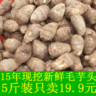 山东农家特产新鲜毛芋头香芋芋艿芋头种有机蔬菜5斤装批发包邮