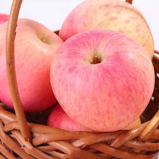陕西洛川红富士苹果脆甜 新鲜苹果 当季苹果 新鲜水果10斤包邮