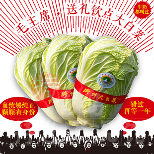 胶州大白菜玉白菜圆白菜农家新鲜蔬菜绿色有机无公害5斤包邮