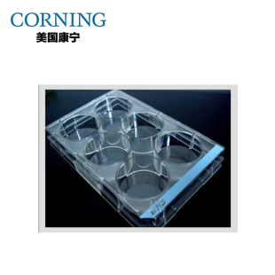 康宁耗材corningCostar3516独立包装6孔无菌细胞培养板无热源热卖
