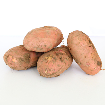 蒙绿娃内蒙古特产有机蔬菜新鲜马铃薯洋芋蔬菜红皮土豆5斤