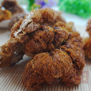 西藏土特产林芝波密天然野生猴头菇干货 养胃佳品猴头菌250g包邮