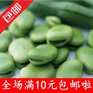 蔬果种子 大量出售 蔬菜种子 绿色蚕豆种子 豌豆种子