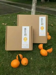 赣南脐橙9枚礼盒装 新鲜水果礼品江西赣州甜橙子现摘