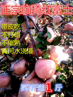 水果苹果平安夜新鲜红富士苹果8斤包邮纯天然农家冰糖心带皮吃