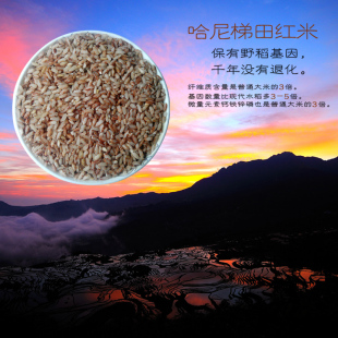 云南元阳梯田红米4kg有机大米宝宝营养粥米红大米糙米富硒生态米