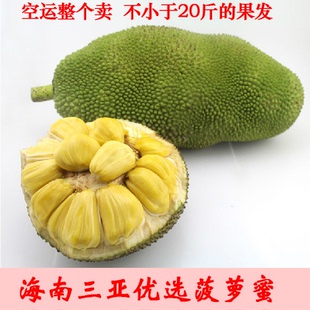 海南新鲜水果 菠萝蜜 木菠萝 一级果类 整个卖20斤以上包邮