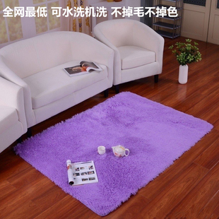 丝毛地毯卧室客厅茶几床边毯飘窗长方形门垫满铺地毯9.9包邮
