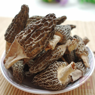 西藏林芝土特产波密 野生羊肚菌干货 食用野生菌干香菇50g包邮