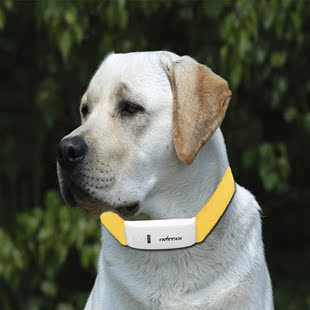 宠物GPS狗定位器微型gps猫追踪器防丢定位项圈动物远程监控防盗牌
