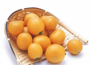 新鲜水果金橘