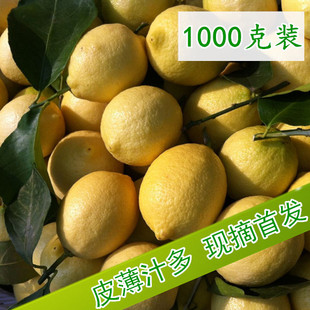 四川安岳柠檬新鲜安岳黄柠檬2斤装6-8个