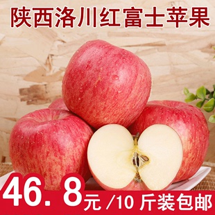 10斤包邮新鲜洛川有机红富士苹果脆甜多汁现货批发水果非烟台栖霞