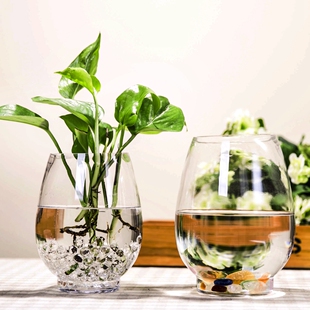 恐龙蛋花瓶 实用 简约 透明玻璃花瓶 水培花卉植物玻璃器皿