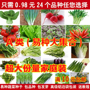 24种四季种植蔬菜种子小白菜香菜萝卜辣椒黄秋葵鸡毛菜香葱韭菜