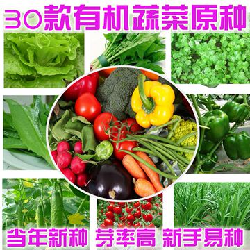 蔬菜种子四季播易种阳台庭院盆栽水果套餐大白菜夏季菜籽香葱辣椒