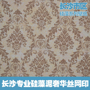长沙市区硅藻泥施工 奢华高端硅藻墙壁纸 丝网印 包工包料 欧式
