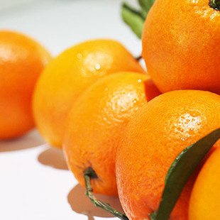 正宗赣南脐橙不打蜡不催熟橙子标准中果赣南和北京发货10省市包邮