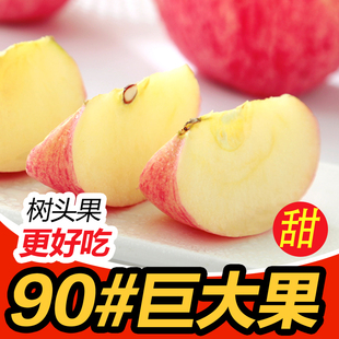 特级90#以上5斤烟台苹果山东栖霞红富士批发包邮特价新鲜苹果水果