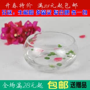 苗圃 圆磨 水培透明花瓶 约1000g 玻璃花盆 水生植物器皿