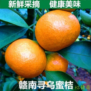 赣南寻乌蜜桔新鲜水果桔子孕妇水果橘子蜜橘脐橙橙子品质5斤包邮