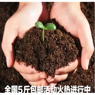 盆栽肥料花卉植物有机营养土200克养花土 种菜营养土 无菌营养土