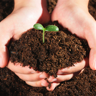 园艺有机肥料 专家配置营养土 花卉蔬菜通用花泥 泥炭土 栽花土