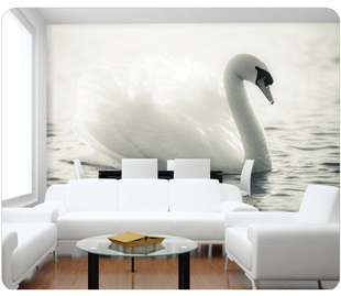 3d电视背景墙纸立体白天鹅大型壁画无纺布客厅卧室沙发定制壁纸布