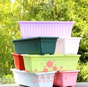 全新PP树脂种菜花盆 长方形花槽塑料花盆阳台种菜盆50cm 5个包邮
