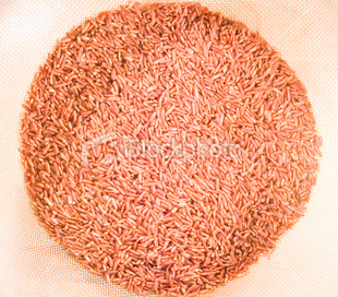 井冈山特产红米杂粮山泉米养颜米有机杂粮红色补血米