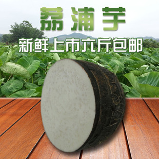 广西特产苗都香芋荔浦芋原生态绿色种植新鲜六斤包邮