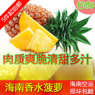 海南三亚新鲜水果批发 超级香甜脆口的菠萝 新鲜凤梨 5斤