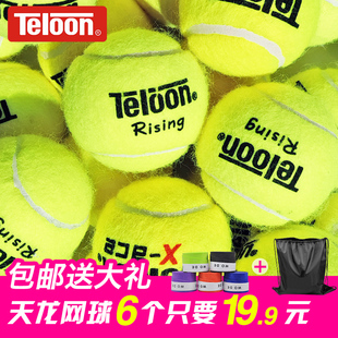 包邮正品Teloon天龙网球训练球603/801/rising复活/ace耐磨练习球