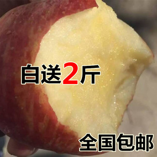水果苹果红富士山东沂源苹果好吃新鲜比烟台红富士10斤包邮新上架