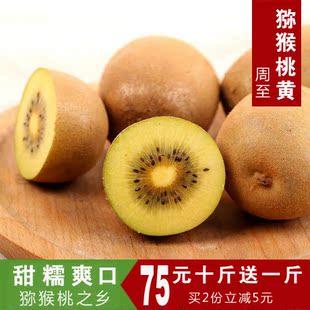 2015年周至猕猴桃黄心10斤装新鲜野生水果金果奇异果买送一斤包邮