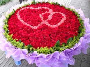 999朵玫瑰花鲜花速递全国杭州北京上海求婚鲜花预定广州成都重庆