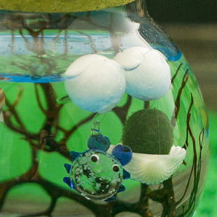 水族瓶配饰海藻球悬浮贝壳降落伞微景观配件桌面DIY创意礼品摆件