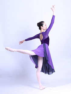 丝绒拼网长袖 专业女成人芭蕾舞服连体服练功服体操服舞蹈服